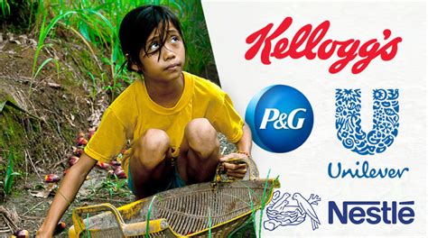 unilever child labour